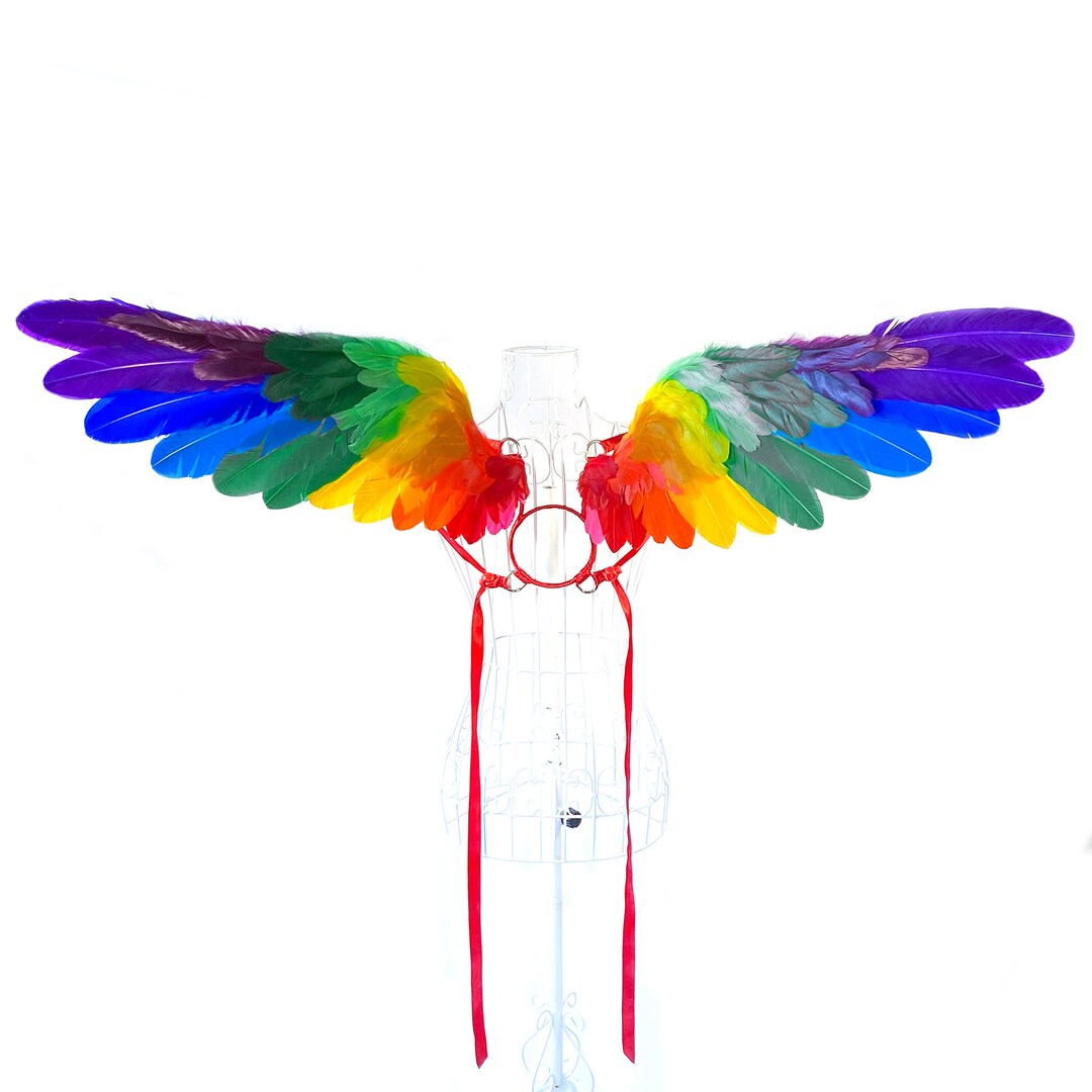 Rainbow Feather Angel Wings, MEDIUM Size, Cosplay, Photography Prop,  Carnival, Halloween, Costume, Dancewear, Festival, Fantasy, Fairytale - Etsy