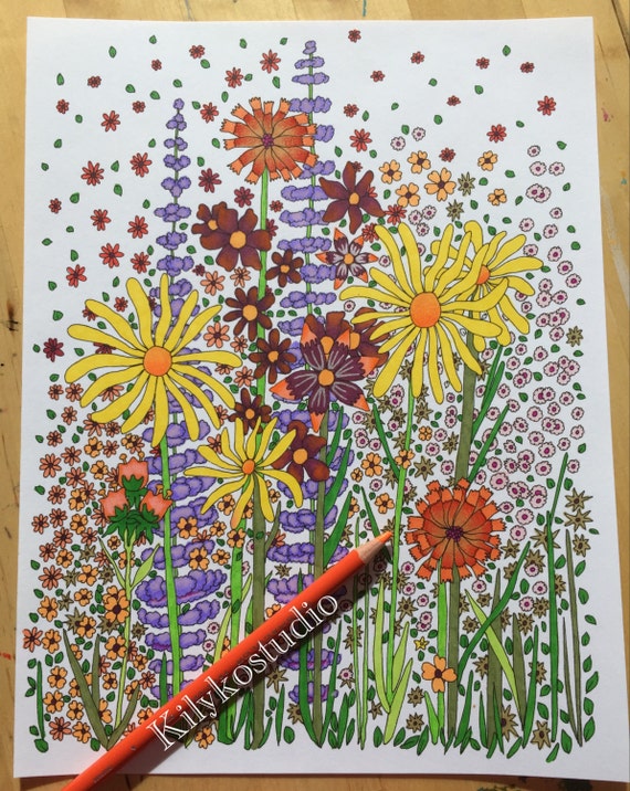 wildflowers adult coloring page colour in page instant digital download pdf