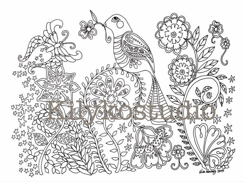May include: A black and white line drawing of a bird with a long tail, surrounded by flowers and stars. The bird is perched on a branch and is looking to the left. The drawing is intricate and detailed, with many small details.