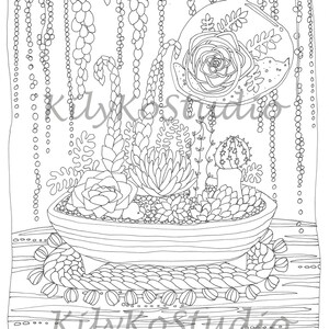 Terrarium succulent coloring page PDF southwest art image 3