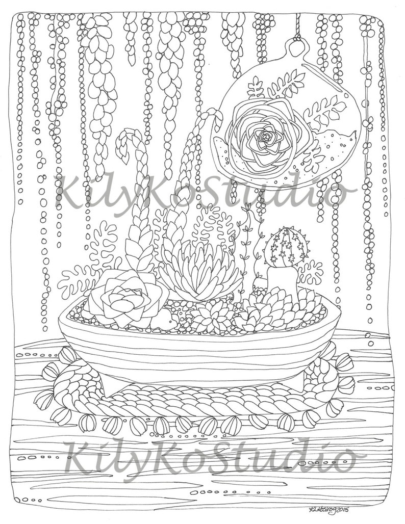 Terrarium succulent coloring page PDF southwest art image 3