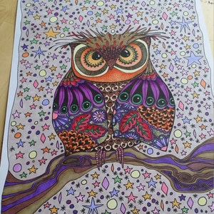 May include: A colorful illustration of an owl with intricate details. The owl is surrounded by a background of stars and other shapes in various colors.