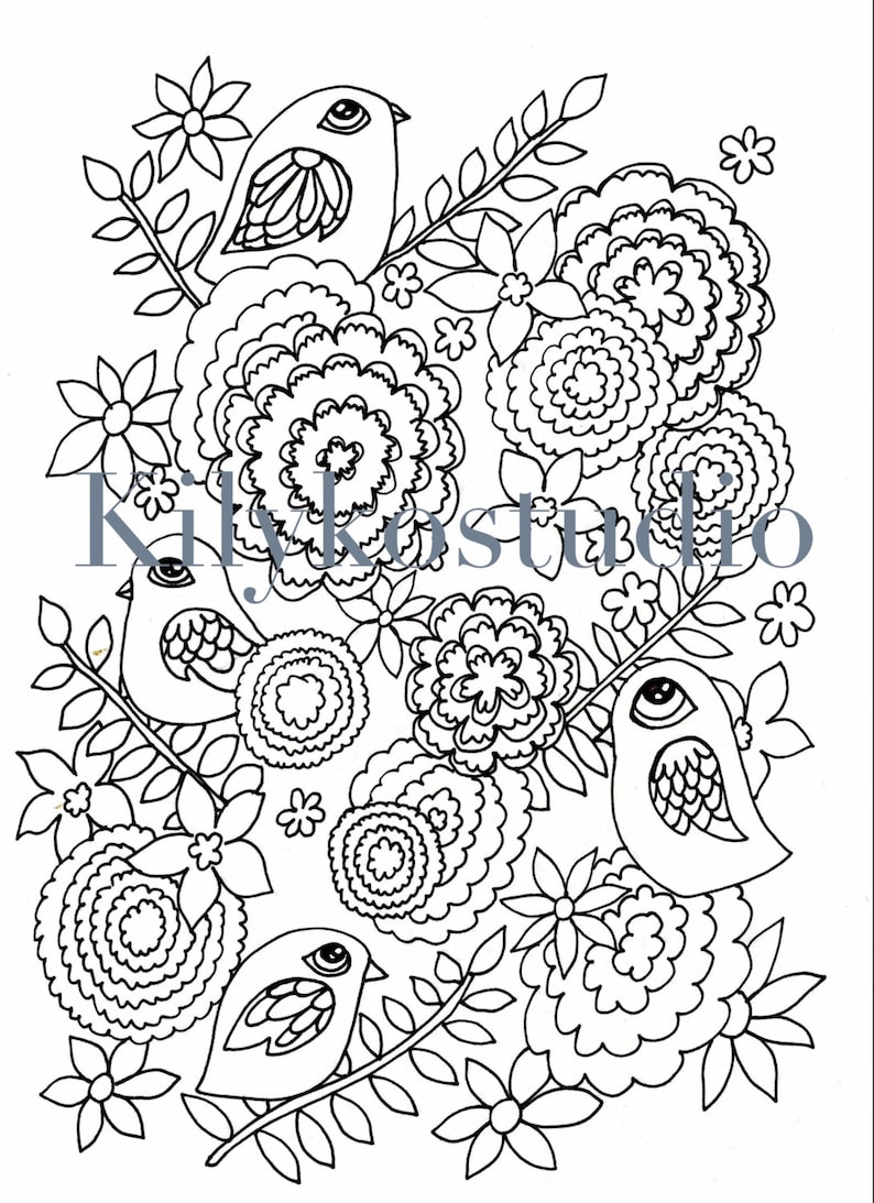 Birds and Flowers Adult Coloring Page Instant Digital Download Pdf - Etsy
