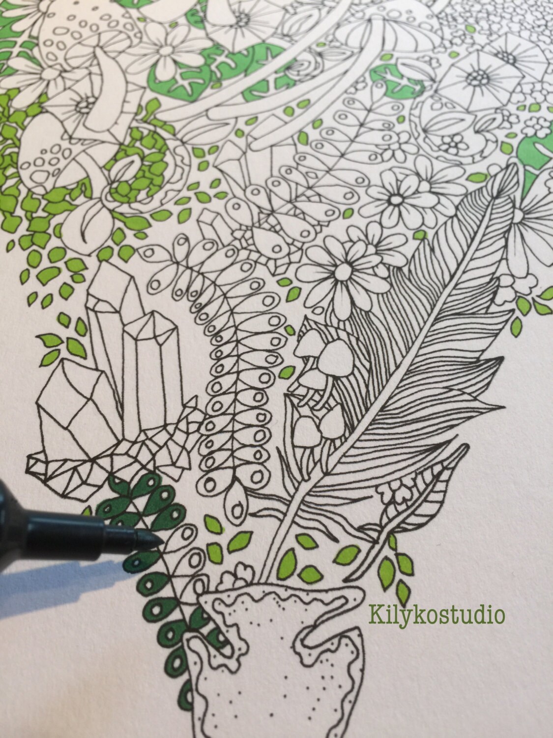 Woodland Heart & Mushrooms Crystals Arrowhead Adult Coloring Page