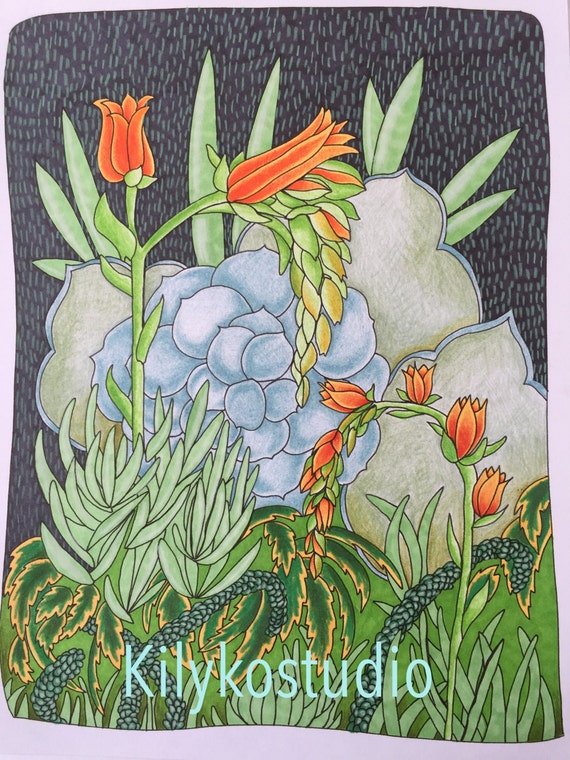 succulent coloring page southwest art instant digital download pdf