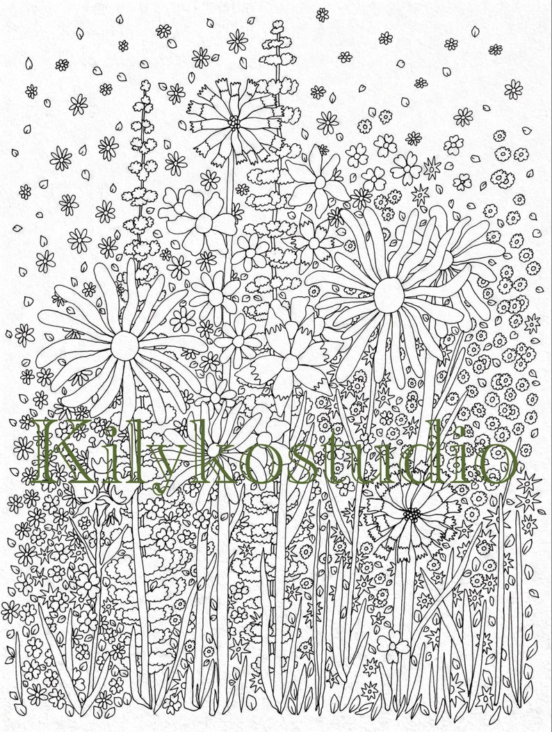 May include: Black and white line art illustration of a field of flowers. The image features various types of flowers, including daisies and other detailed floral designs. The text "Kilykostudio" is overlaid on the image.