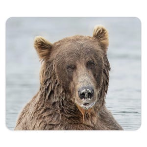 Wild Instincts, Everyday Style Mouse Pad