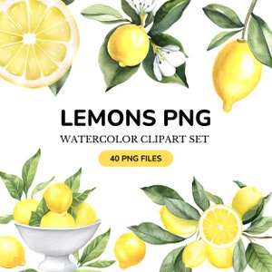 40 Aquarell Zitrone Clipart, Zitrone PNG, Limonade, Blüte Blumensommer Clip Art, Zitronenzweig, PNG Bundle, Sofortiger Download Kommerzielle Nutzung