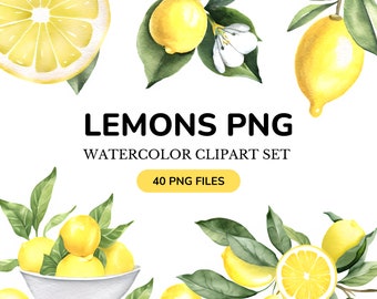 40 imágenes prediseñadas de limones en acuarela, limón PNG, limonada, imágenes prediseñadas florales de verano, rama de limón, paquete PNG, descarga instantánea para uso comercial.