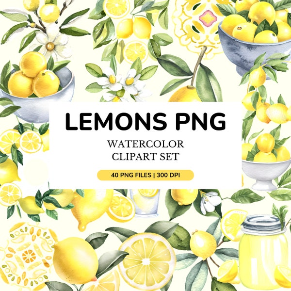 40 Watercolor Lemon Clipart, Lemon PNG, Lemonade, Blossom Floral Summer Clip Art, Lemon Branche, PNG Bundle, Instant Download Commercial Use
