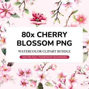 80 PNG acuarela flor de cerezo paquete, flor PNG, flor de cerezo clipart, flor rosa clipart, paquete de flores, flores de acuarela, Sakura
