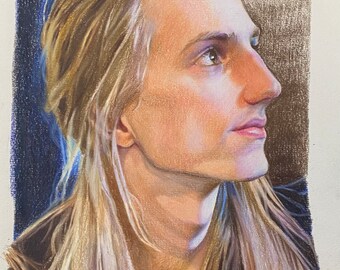 Pencil / coloured pencil custom hand drawn portraits