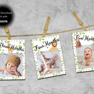 Wild One Birthday Party Monthly Photo Banner, First Birthday Monthly Banner, First Year Monthly Photos, Digital Editable.