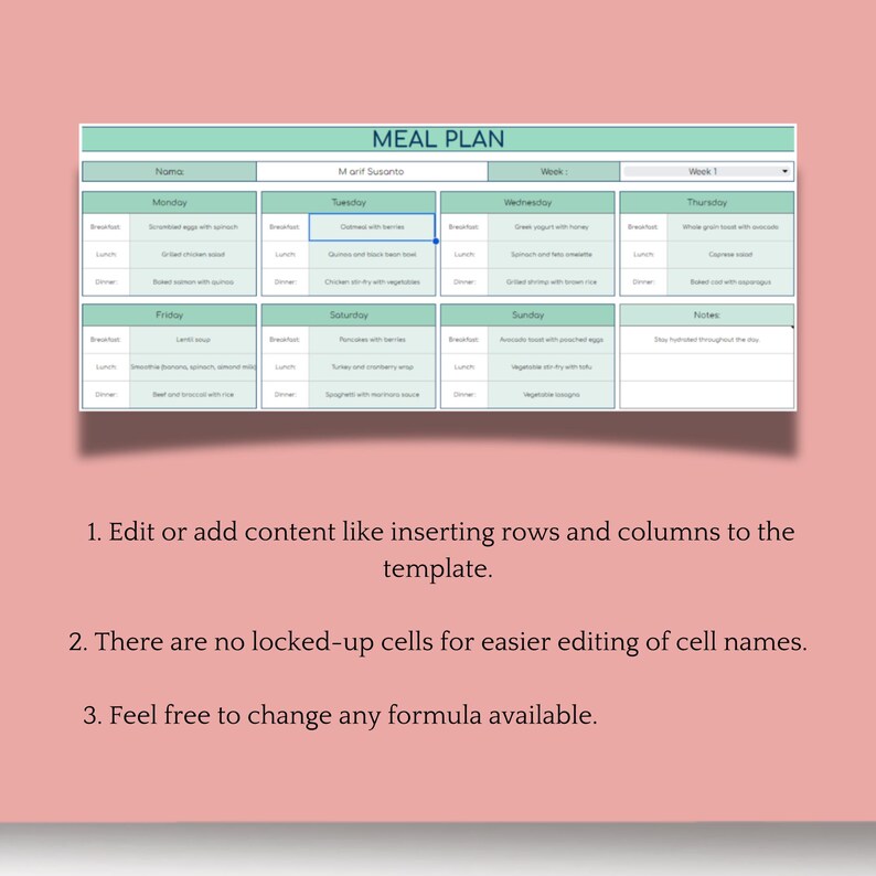 Meal Plan Template, Weekly & Monthly Planner for Healthy Eating, Google ...