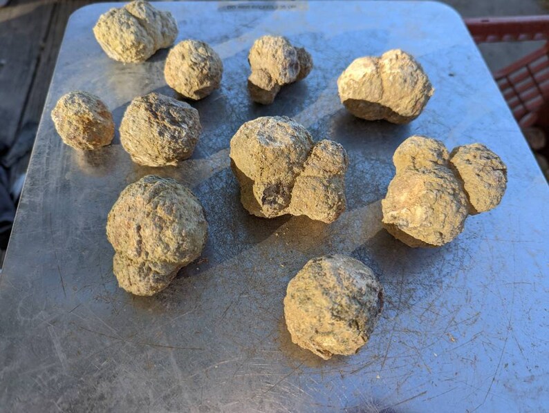 5lb. Variety Thunder Eggs Smalls for Trim Saw 13 Etsy