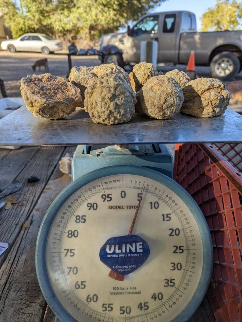 5lb. Variety Thunder Eggs Smalls for Trim Saw 13 Etsy