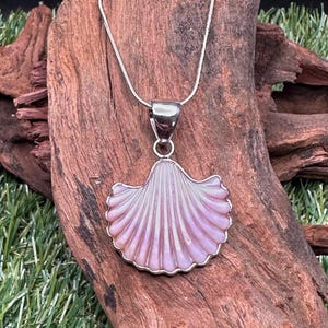 May include: A silver necklace with a seashell pendant. The pendant is a light pink and white color, with a silver border. The necklace is displayed on a piece of driftwood against a background of green grass.