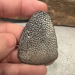 May include: A triangular-shaped fossilized object with a textured, pitted surface in shades of metallic silver and dark gray. The object features a dense, honeycomb-like pattern across its entire front face, tapering to a rounded point at the top.