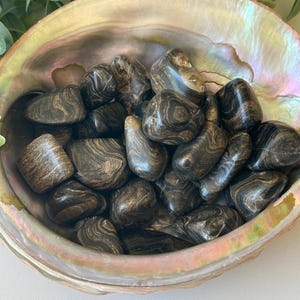 Stromatolite Fossil Tumbled Stone – Ancient Life Energy | Prehistoric Crystal | Unique Gift for Him or Her