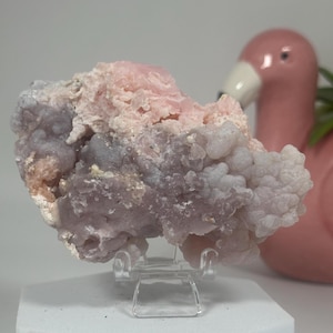 May include: A raw mineral specimen featuring a cluster of botryoidal formations in shades of pale pink and soft lavender. The crystalline structure is mounted on a clear acrylic stand, which rests upon a white hexagonal base for display purposes.