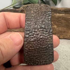 Fossil Turtle Shell from Suwannee River Florida | Ice Age Turtle Fossil | Natural River Polished | Florida Fossil