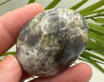 Dendritic Agate Palm Stone | Natural Dendritic Crystal Palm | Polished Agate Stone | Grounding Crystal Decor | Meditation Stone Gift
