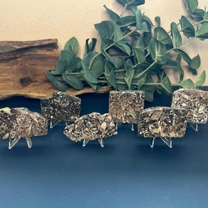 Turritella Agate Fossil Specimen | Real Snail Shell Fossil Specimens | Fossil Stone, Rocks and Minerals | Fossil Display, Gifts & Home Decor