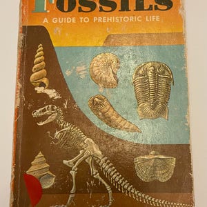 May include: A vintage paperback book titled Fossils: A Guide to Prehistoric Life, A Golden Nature Guide. The cover features 481 illustrations in color, including a dinosaur skeleton, various shells, and prehistoric creatures on a brown and blue background.