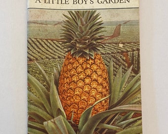 1930 The Kingdom That Grew Out of a Little Boy's Garden Dole Pineapple Recipes and Story Booklet Advertisement  Cookbook