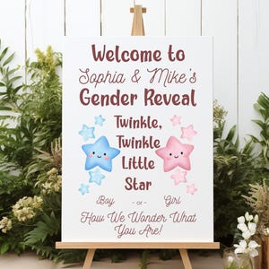 Personalized Welcome Sign Gender Reveal Custom Twinkle Twinkle Little Star How We Wonder What You Are Gender Reveal Decor Welcome Foam Board