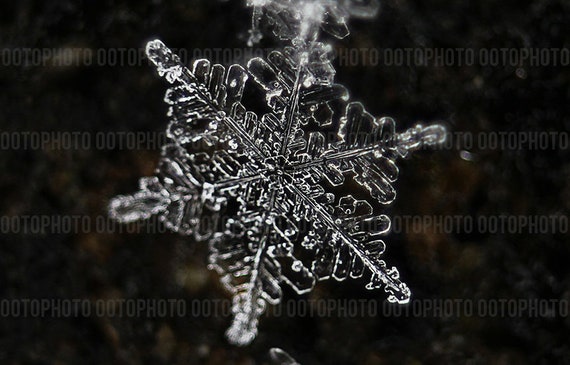 Snowflake, weather