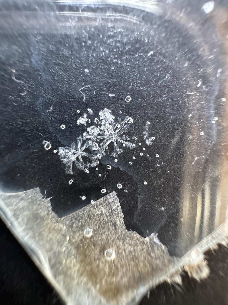 May include: Two distinct white snowflake crystals with intricate, symmetrical, six-pointed geometric patterns resting on a dark, textured surface. The image captures the delicate, crystalline structure of the ice, surrounded by small, scattered water droplets.