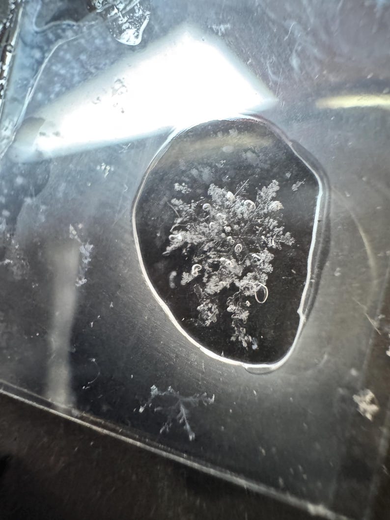 May include: A single, intricate white snowflake crystal is captured within a clear, circular droplet of water resting on a dark, reflective surface. The snowflake displays a complex, symmetrical, branching structure with delicate, icy details.