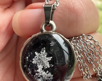 Frozen in Time Real Preserved Snowflake Capture in a Pendant Necklace