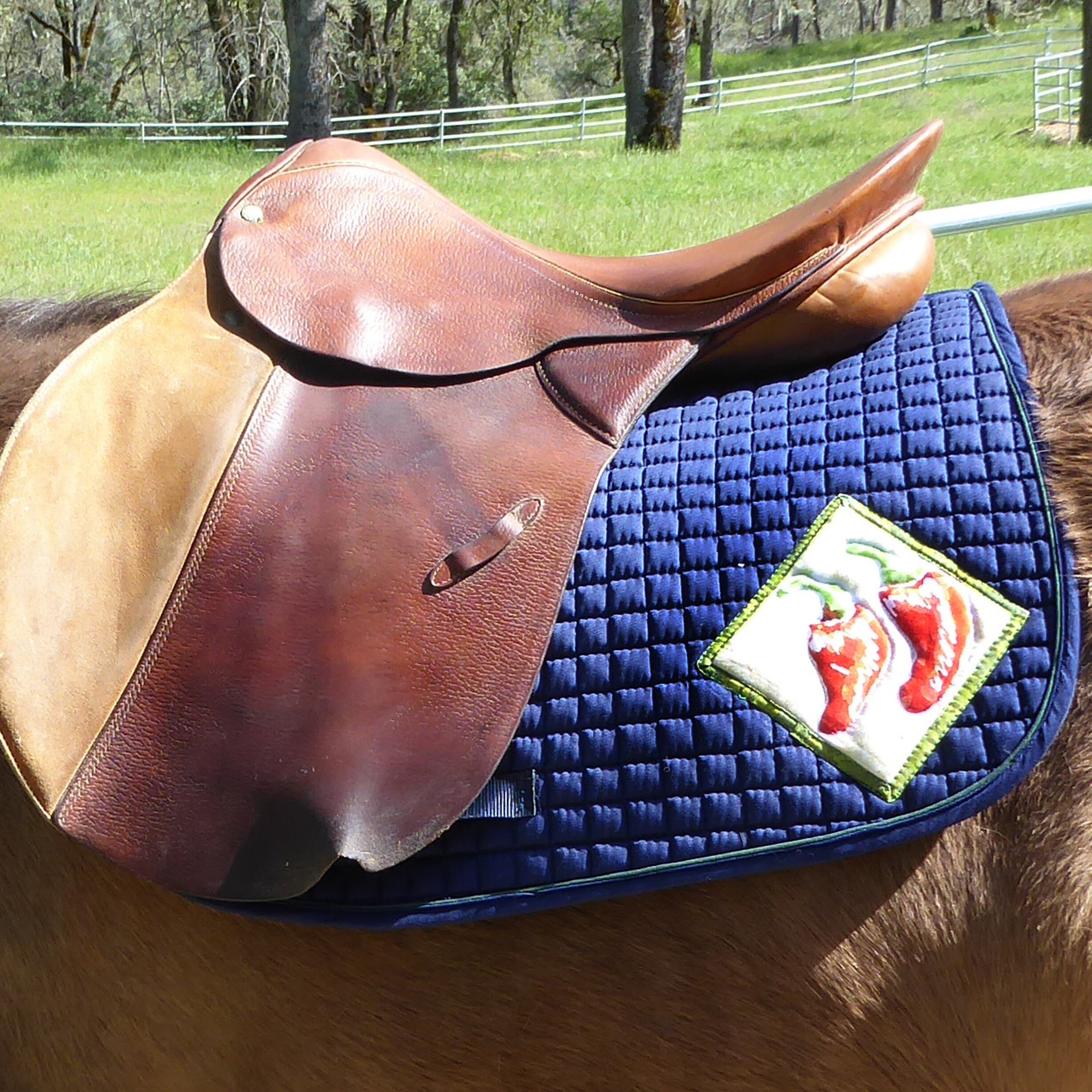 Pony Saddle Pad for English Saddles in Navy Blue HP86 Etsy