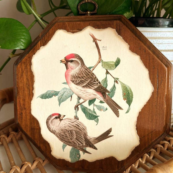 Vintage Bird Illustration on Wood Wall Plaque with Brass Hanger, Cottage Core Shelf Decor, Artist Signed 1973