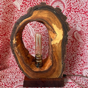 Può includere: Una lampada da tavolo in legno con un design unico e naturale. La base della lampada è una spessa fetta di legno con un grande foro irregolare al centro. Una lampadina in stile vintage è inserita attraverso il foro. La lampada è appoggiata su una base in legno scuro.