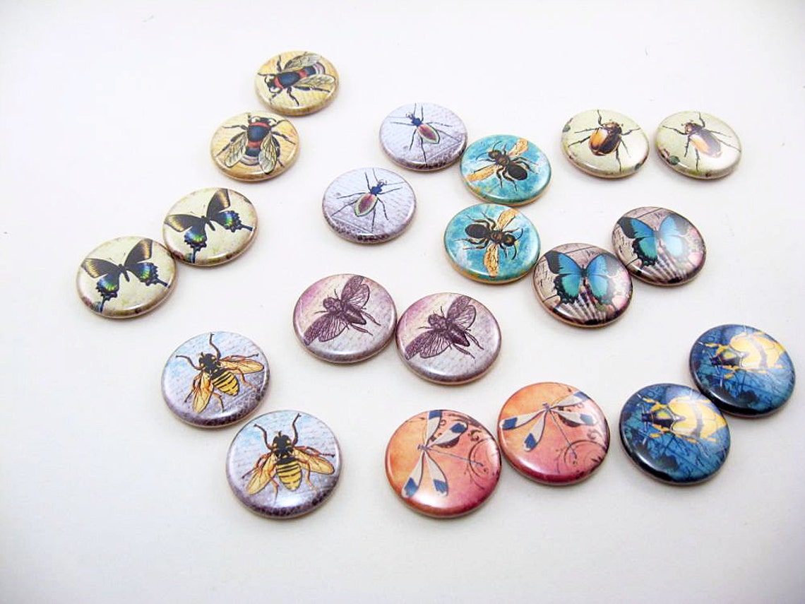 google images insect color match game
