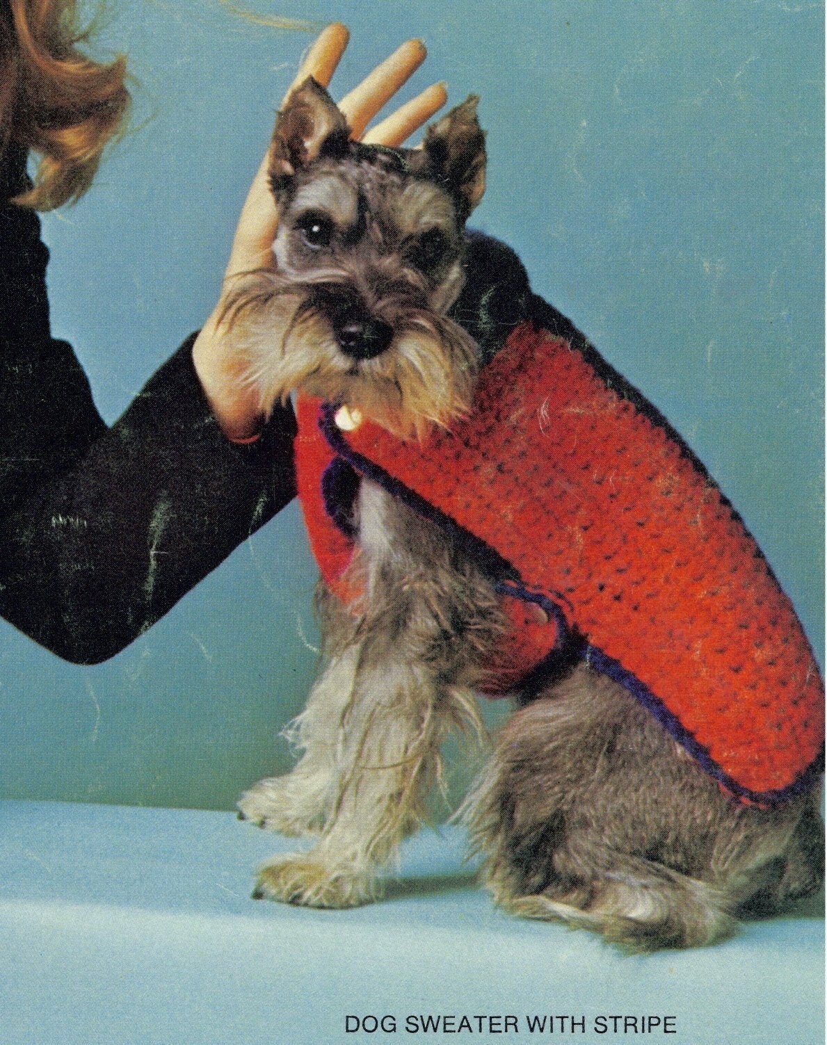 Crocheted Dog Vest PDF Etsy