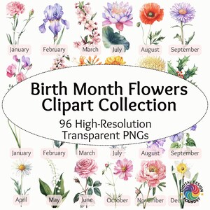96 acuarela mes de nacimiento flor clipart floral cumpleaños PNGs 2 para cada mes - PNG de alta calidad - mes de nacimiento flor acuarela clipart