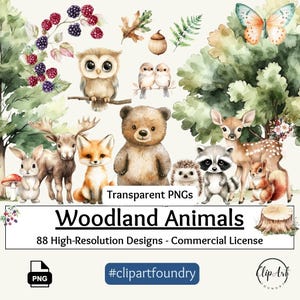 Woodland Animal Clipart, 88 PNG, Cute Foxes, Owls, Hedgehogs, Deer, Rabbits, Nature Elements for Baby Showers, Nursery Decor, and DIY Crafts