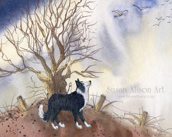 Affiche de chien Border Collie 20 x 10 et 5 x 7 pouces de Susan Alison peignant un chien de berger solitaire, des oiseaux migrateurs qui volent dans le paysage domestique