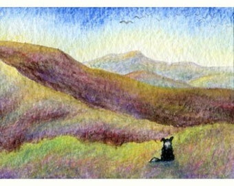 Border Collie dog hills paysage 5x7 8x10 imprimer affiche montagnes Écosse route panoramique admirant la vue regardant au loin Susan Alison