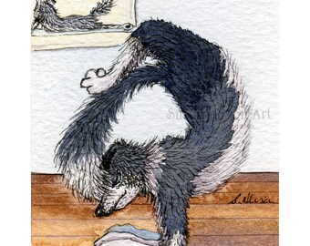 Border Collie dog 8x10 Susan Alison art print frm watercolor painting sheepdog practising yoga scorpion pose arm-balancing strength exercise