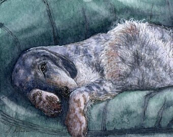 English Setter 5x7 and 8x10 dog art print poster thinking about having a nap on the sofa settee couch from Susan Alison watercolour painting