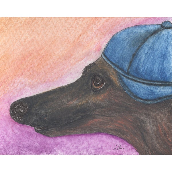 Whippet greyhound dog prints 5x7 and 8x10 lurcher sighthound from Susan Alison watercolor painting he'd grown out of baseball caps backwards