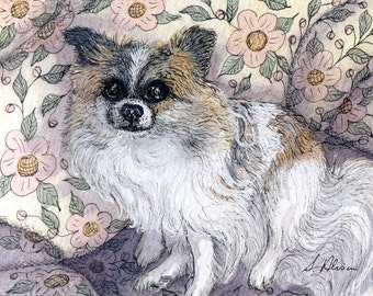 Long haired chihuahua dog 5x7 or 8x10 art print poster I am so cute from a watercolor painting by Susan Alison long-coat