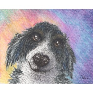 Border Collie dog 5x7 and 8x10 print poster sheepdog did you say cheese derpy dog excited drooling from a Susan Alison watercolour painting
