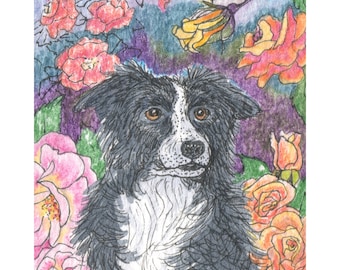 Chien de border collie signé 5 x 7 et 8 x 10 impression affiche chien de berger d'une horticulture de producteur de roses roses de Susan Alison Art