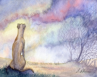 Whippet greyhound dog art print 5x7 and 8x10 dawn landscape lurcher sighthound watching sunrise view from a Susan Alison watercolor painting